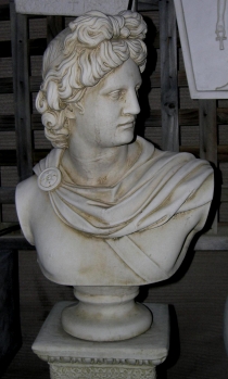 Apollo Bust 